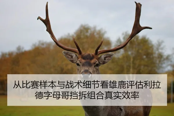 从比赛样本与战术细节看雄鹿评估利拉德字母哥挡拆组合真实效率