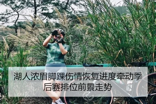 湖人浓眉脚踝伤情恢复进度牵动季后赛排位前景走势